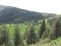 Idaho hills